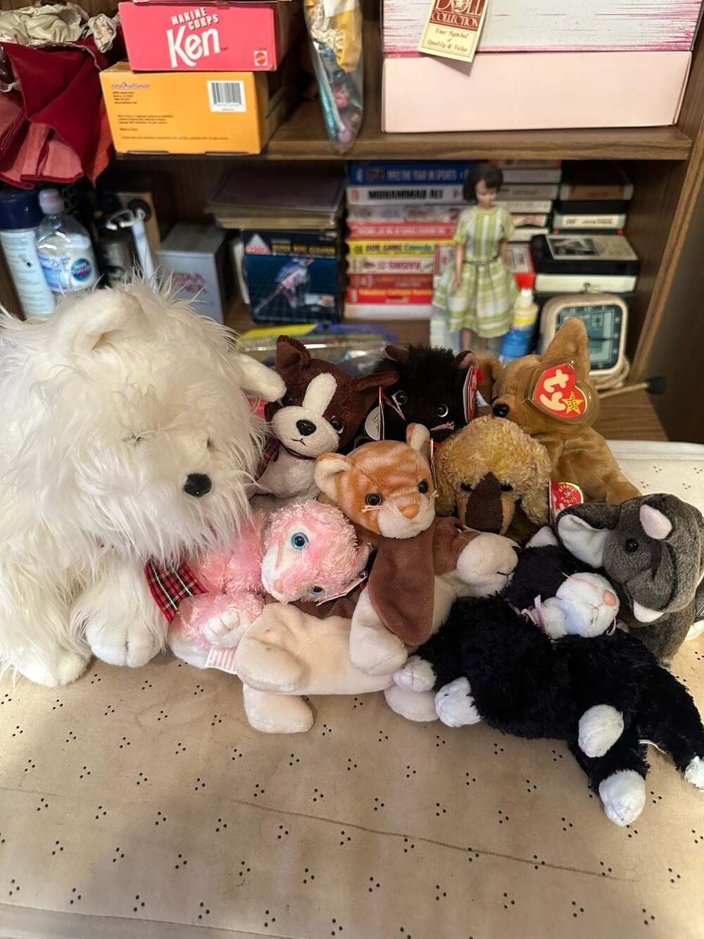 10 Beanie baby lot cats and dogs